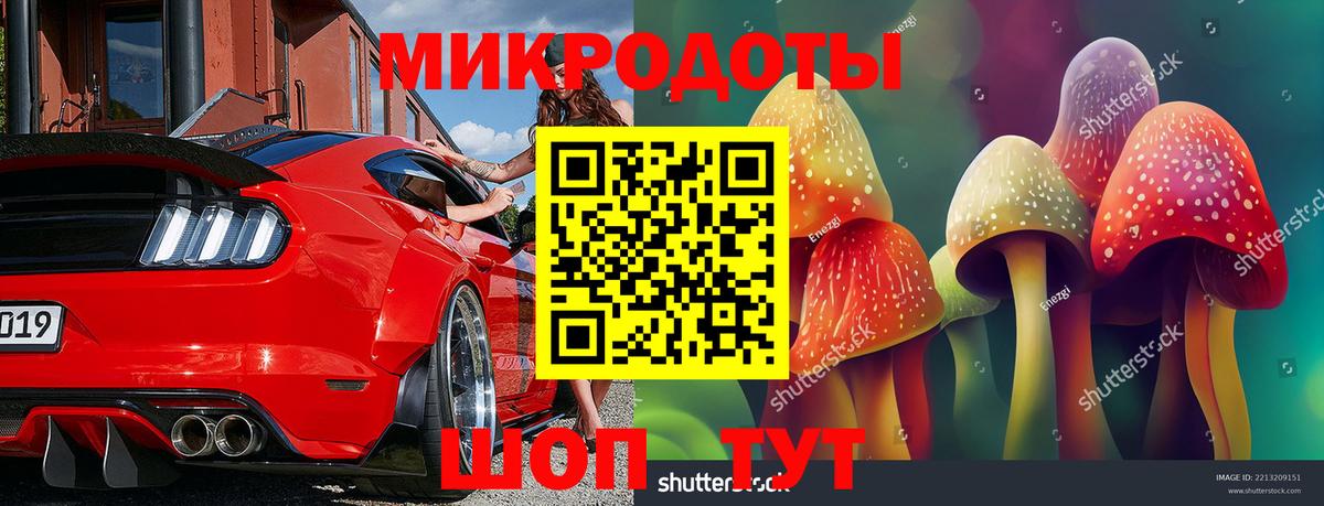 Переславль-Залесский  Галлюциногенные грибы Cubensis  Вход с VPN 
